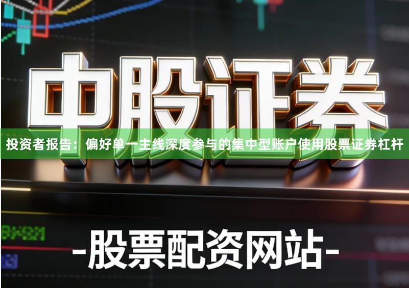 投资者报告：偏好单一主线深度参与的集中型账户使用股票证券杠杆