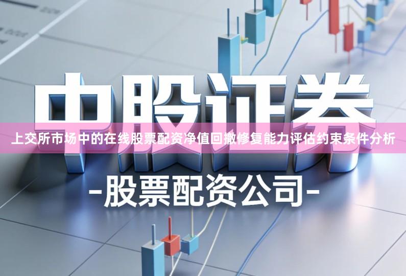 上交所市场中的在线股票配资净值回撤修复能力评估约束条件分析