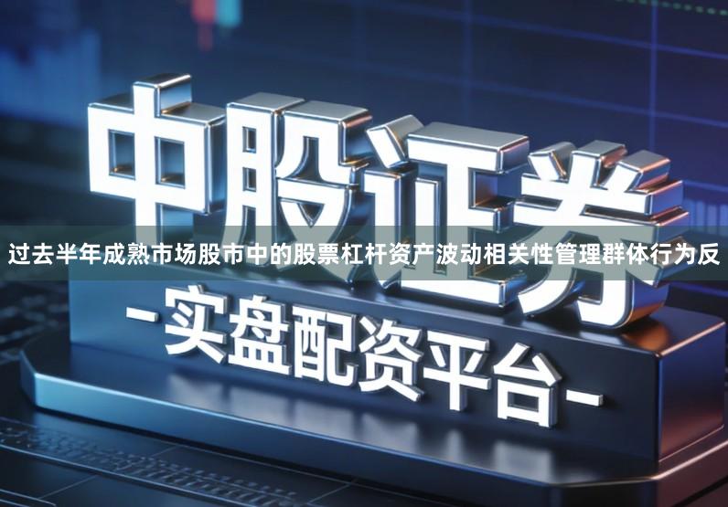 过去半年成熟市场股市中的股票杠杆资产波动相关性管理群体行为反